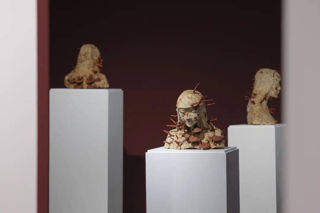 �����죺�����˶Ծ��ӵ����������Ӧ���á��ж���������