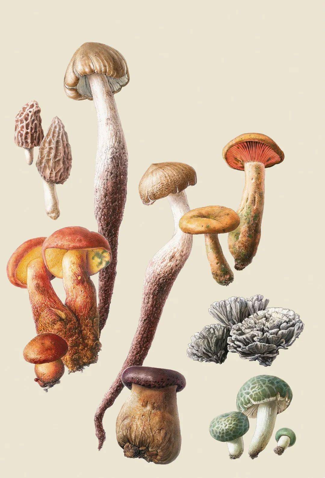 �����죺�����˶Ծ��ӵ����������Ӧ���á��ж���������