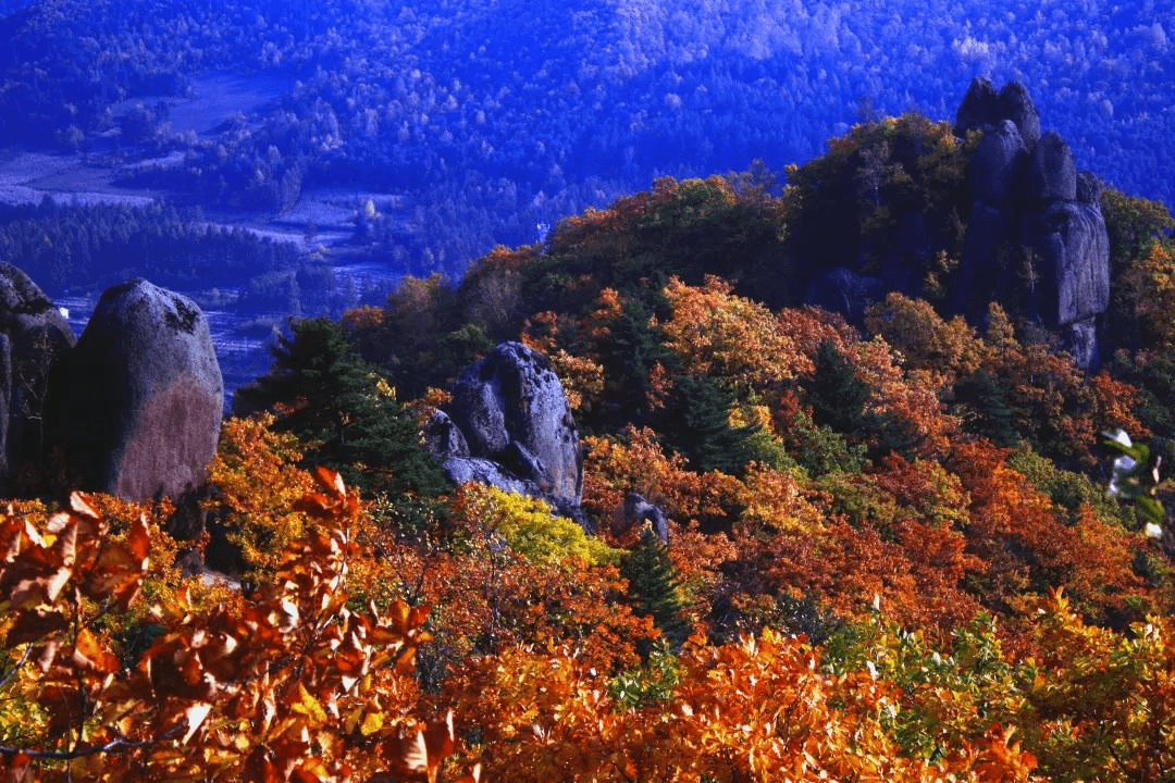 【国庆•醉雪城】国庆长假，牡丹江有一种炫美的秋天，叫做五花山