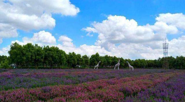 广州一“高颜值”公园走红，人称花都“后花园”，景致不输流花湖