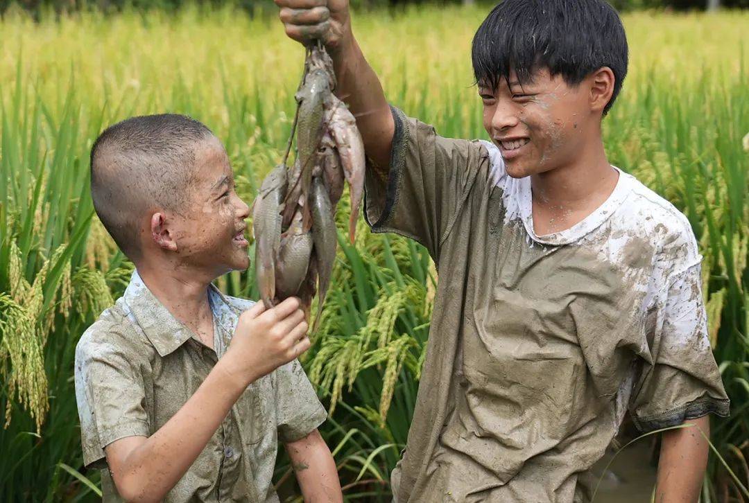 明天“搬砖”！假日乐趣还在回味