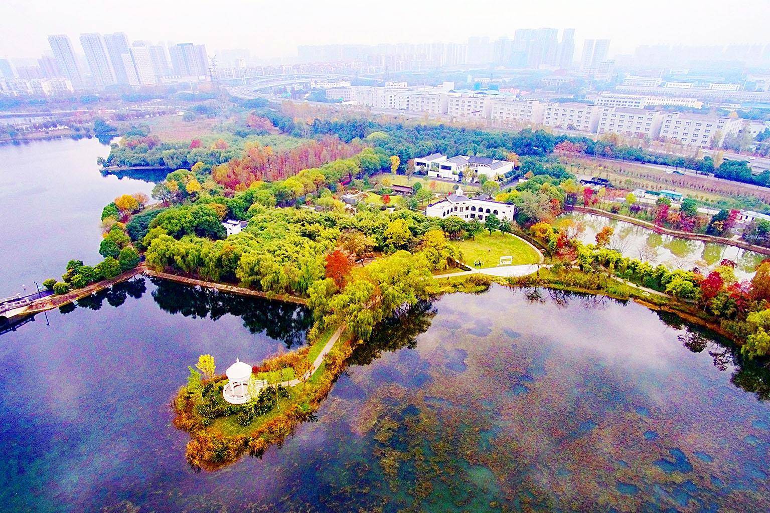 游湿地花溪 赏百年街区 逛特色书店！新地标扮美江城