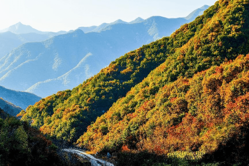 国庆长假，温泉度假、休闲采摘、露营体验相当火了