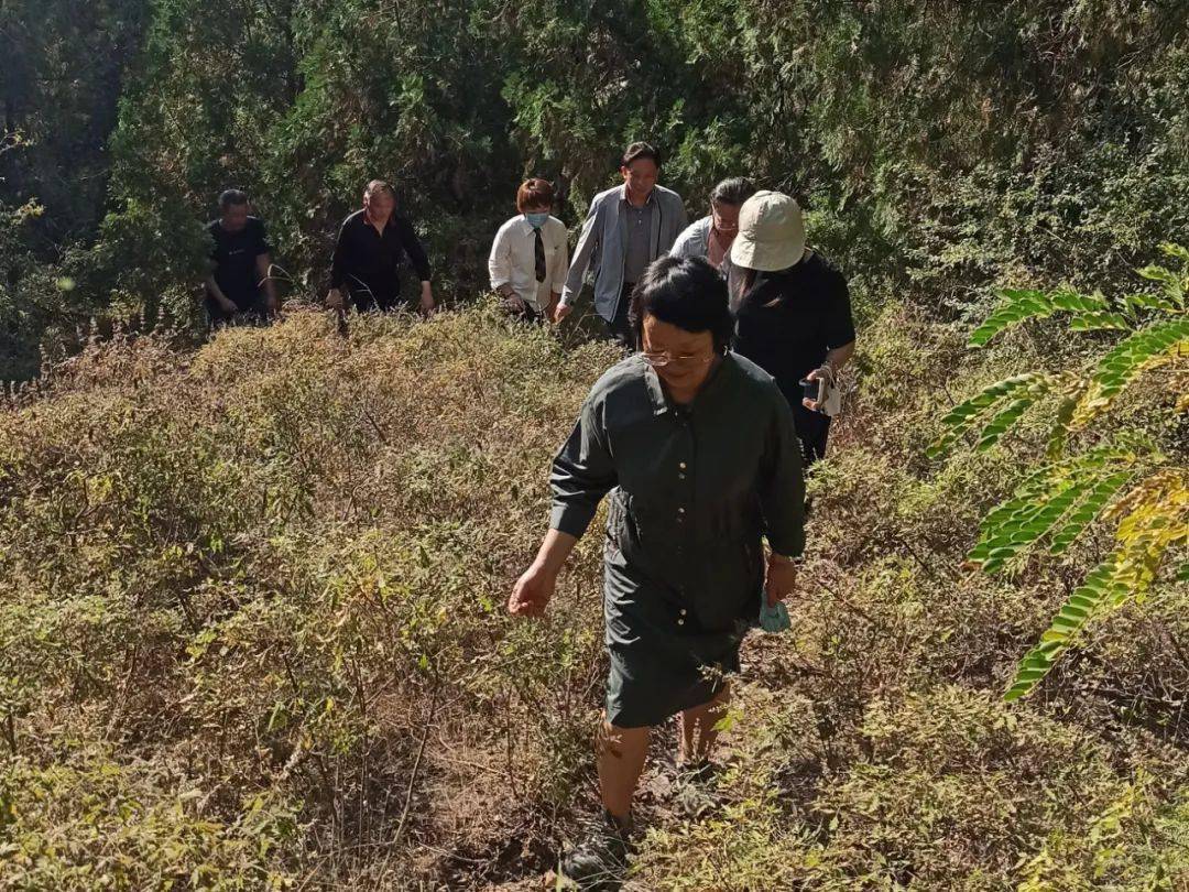 市人防指挥信息保障中心开展“我们的节日•重阳”登山活动