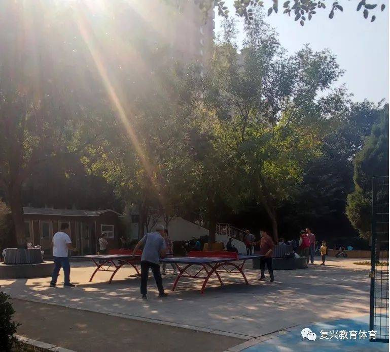 "复兴区教体局体育科长李树承认为"体育公园从一开始,就高起点谋划
