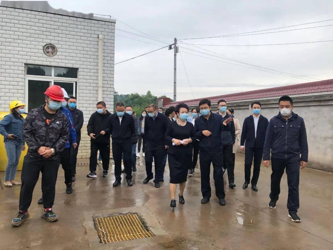 【动态】市政协副主席刘旭晴率队调研濑溪河流域水
