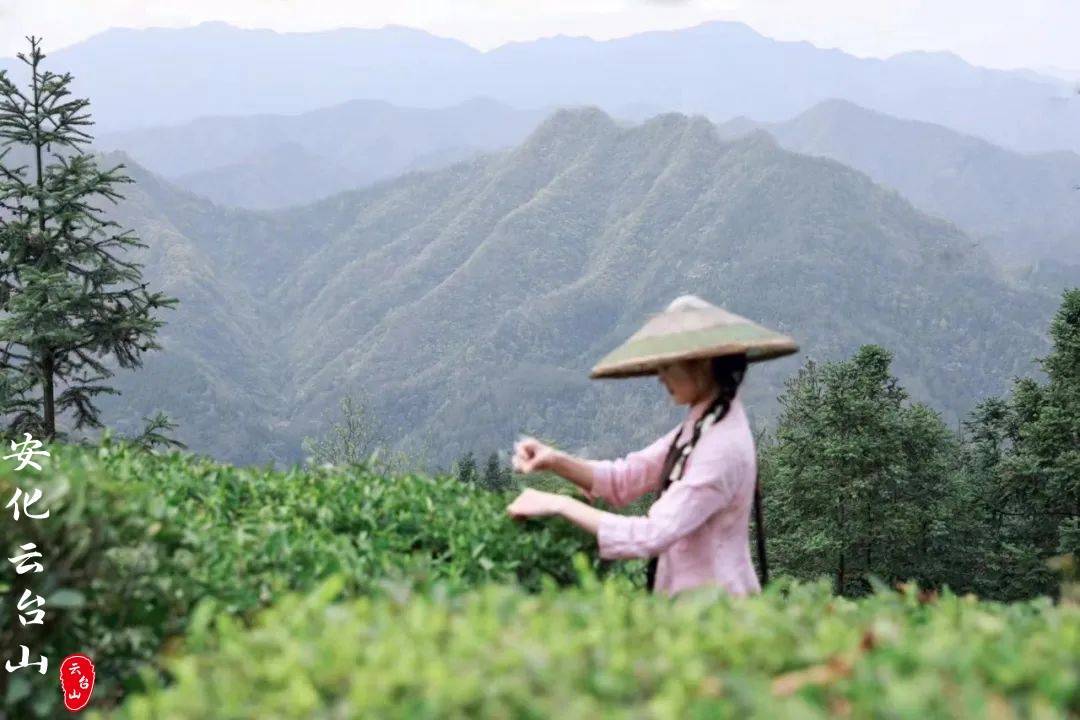 云台山：一朝秋色黄，几度羡秋风