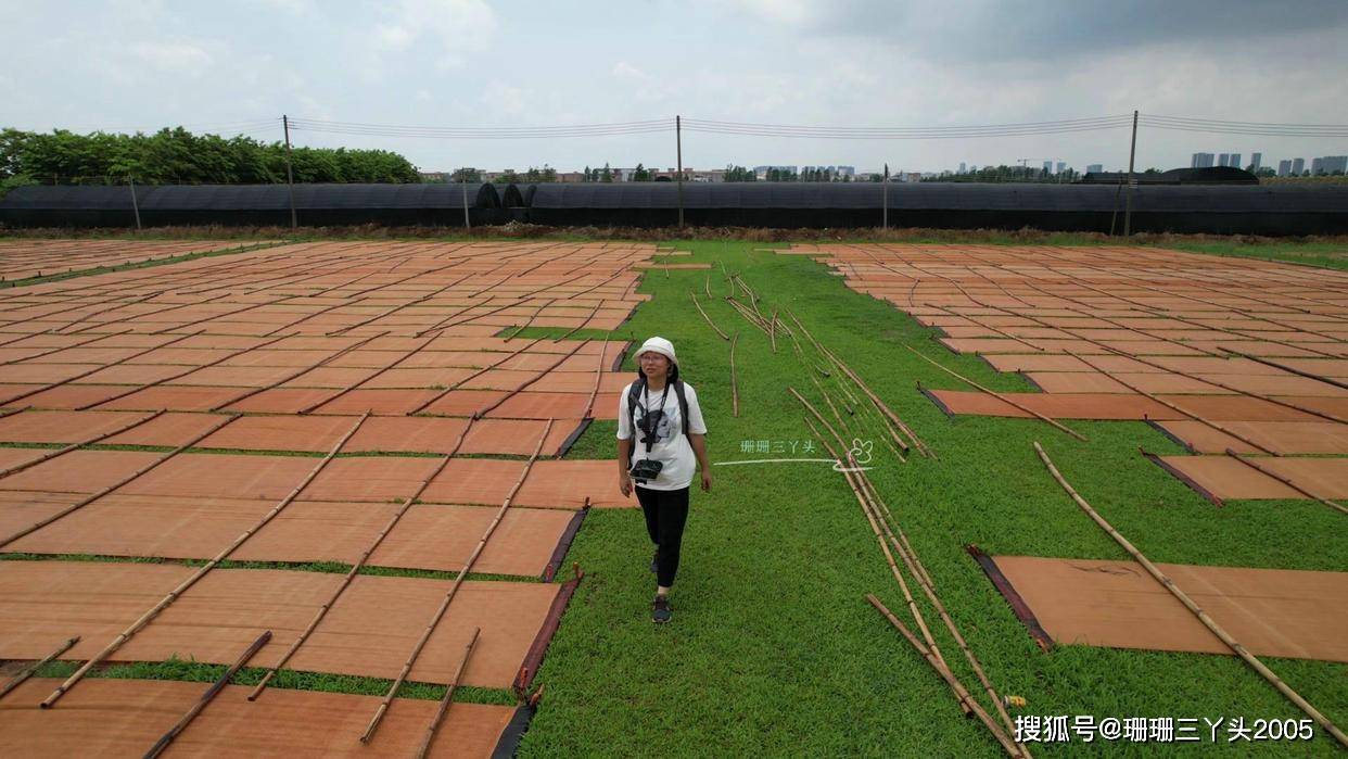 广州这整座“平移”的古建筑，成“香云纱”展馆，游客：揭开神秘