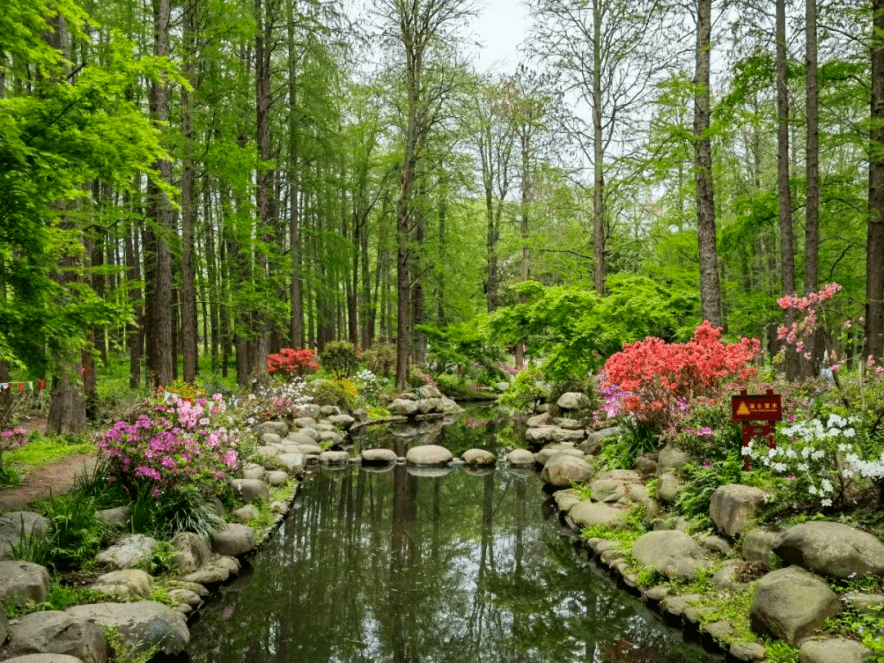 截至2021年底,上海