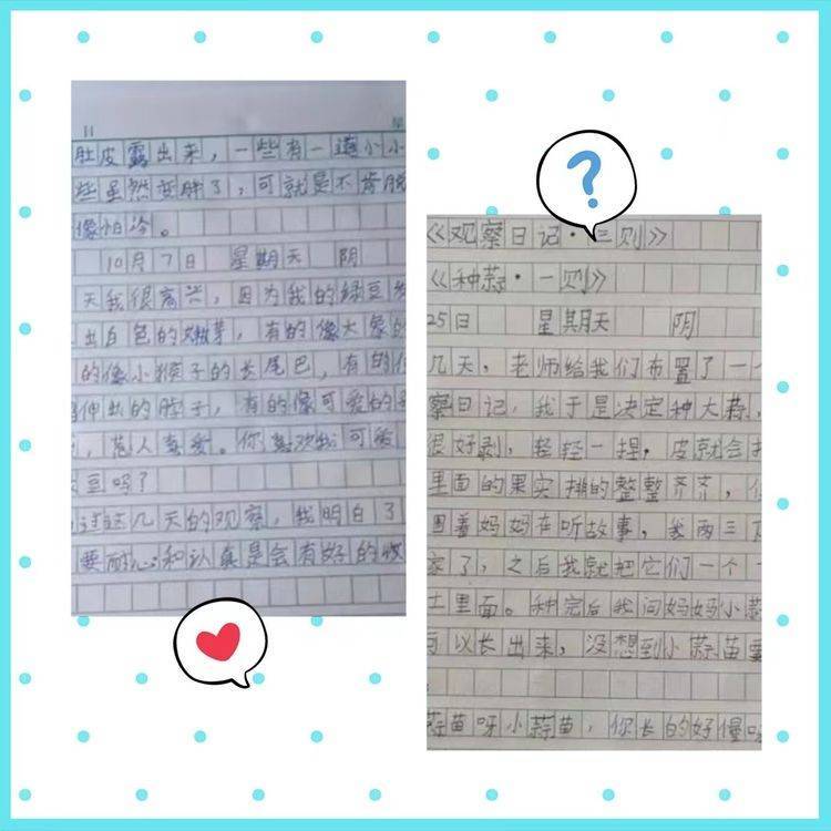 “双减”提质有方法 观察日记趣味多 浐灞第十二小学四年级语文组实践作业
