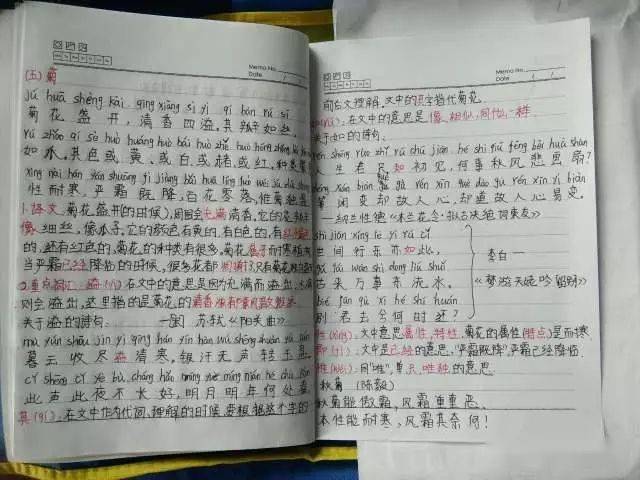 【小学生必读小古文100篇】第六篇：《雨》