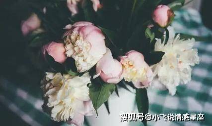 成都借卵试管中心（没本事还不懂疼老婆的3生肖男，不值得女人去爱，你遇到了吗？）