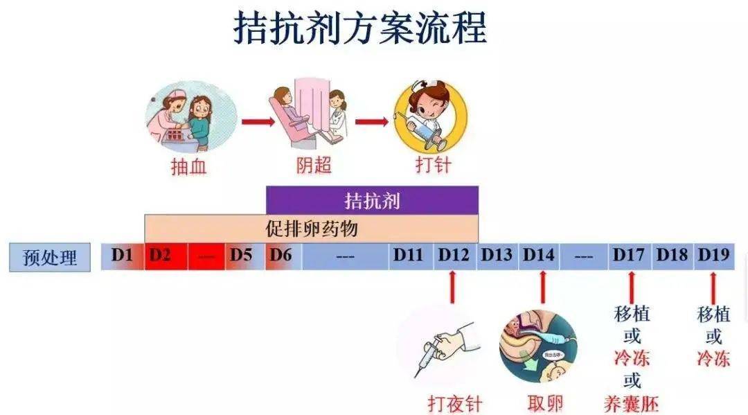 国内三代试管婴儿费用（深度揭秘）