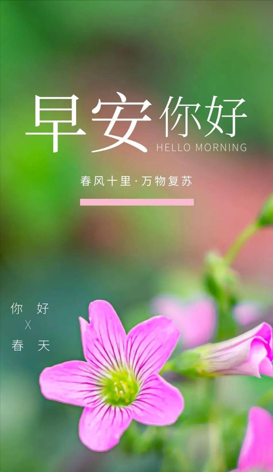 成都助孕哪家好（原创
            9月23日，星期三，早上好！愿你我此生，温柔岁月，也惊艳时光）