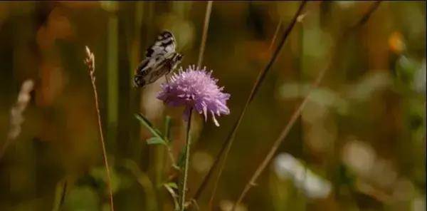 10���������ݵĵ�Ӱ��С���ѵ�Ц����ĺ�����