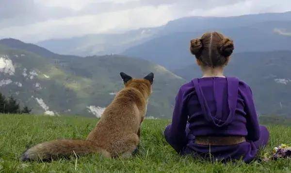 10���������ݵĵ�Ӱ��С���ѵ�Ц����ĺ�����