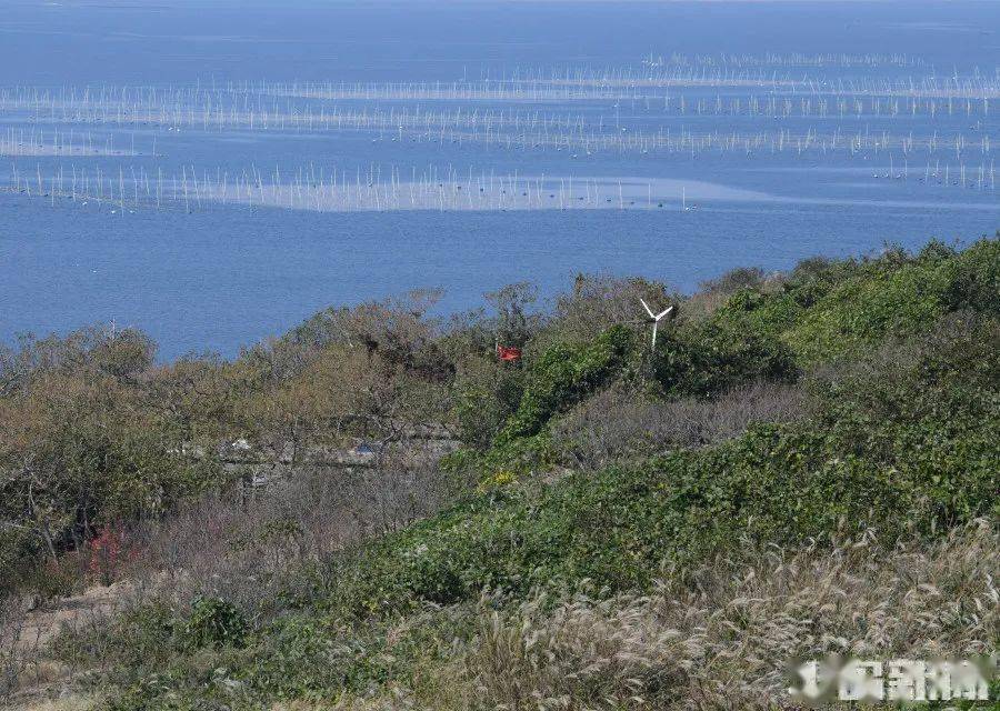 76岁守岛人坚守赭岛48年