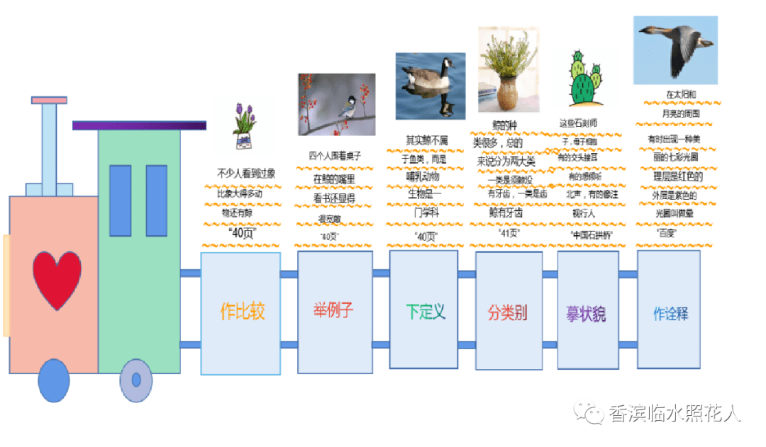 【思维导图“画”作文——五年级“我的心爱之物”】谭奥《白鹭》（二十）  五年级作文 第19张