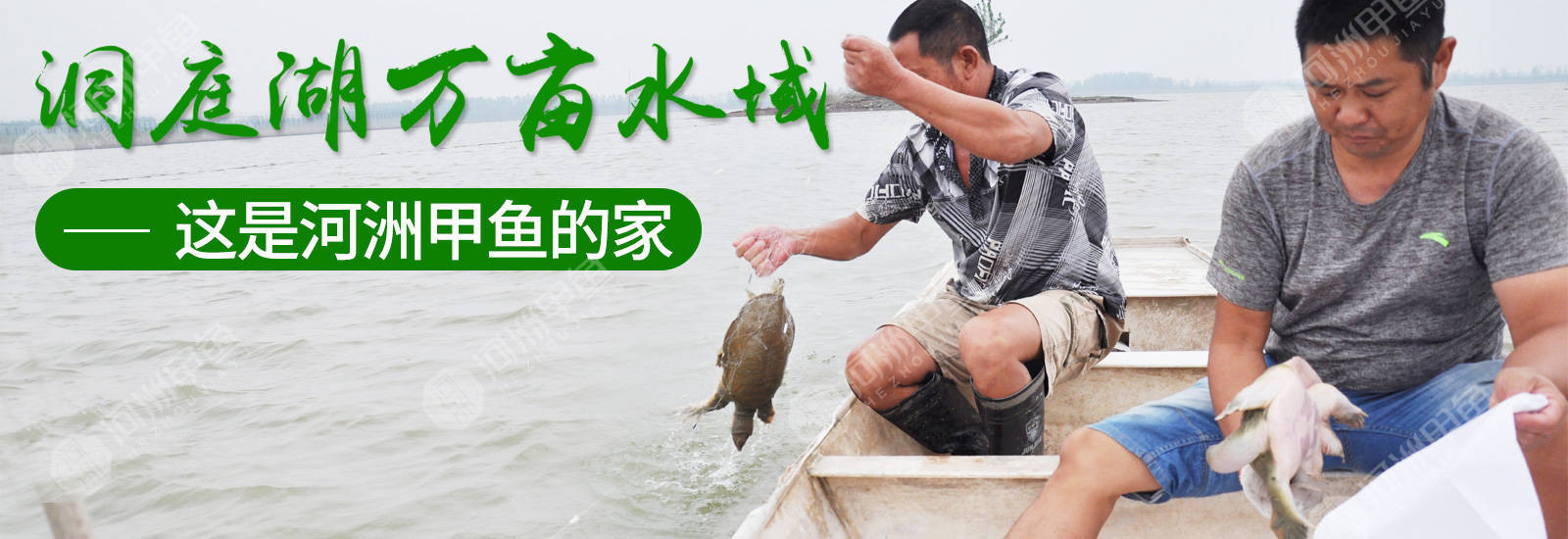 成都供卵医院（干货满满）