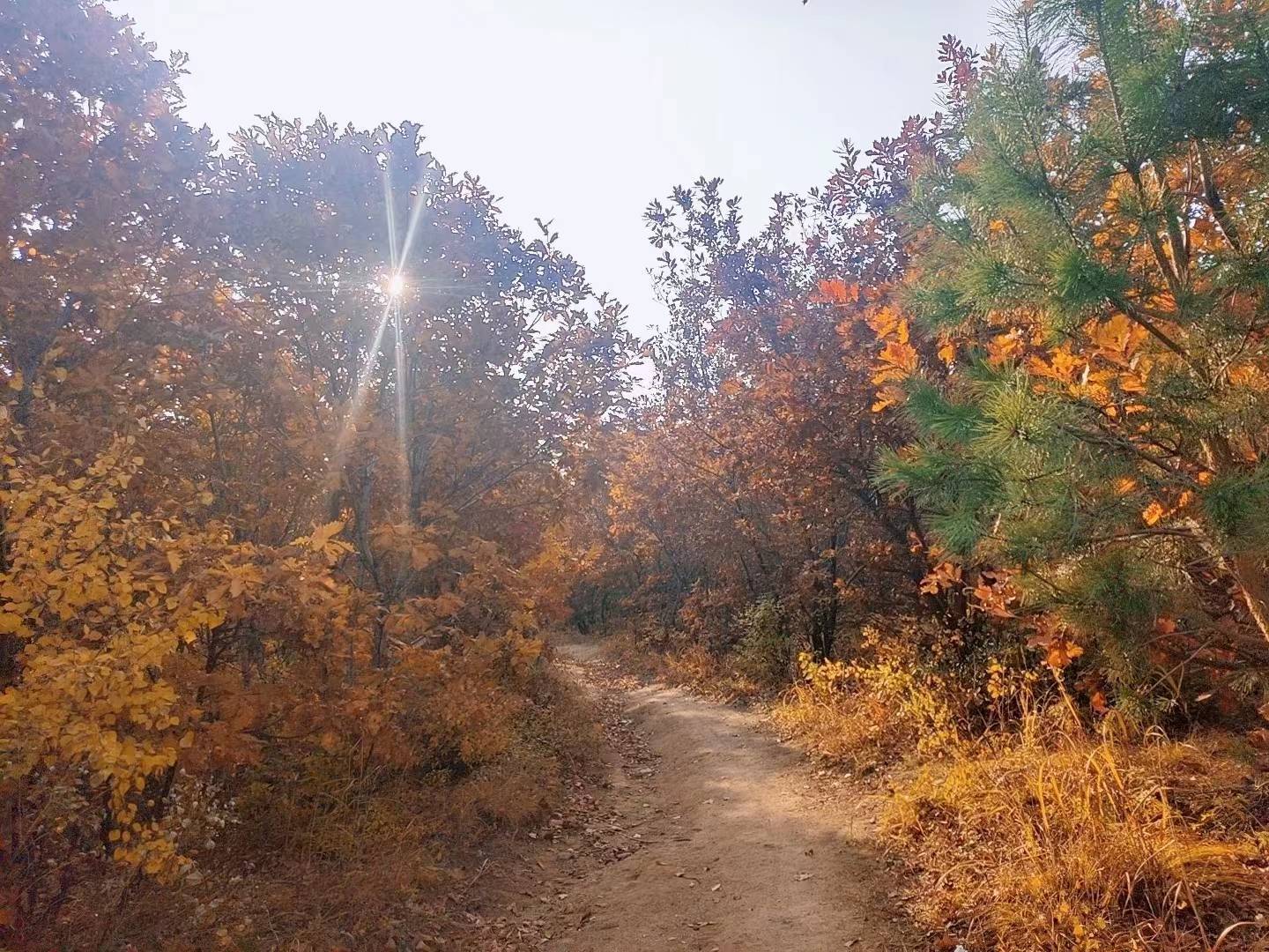 Between November 1st and November 27th, the three zodiac signs are the