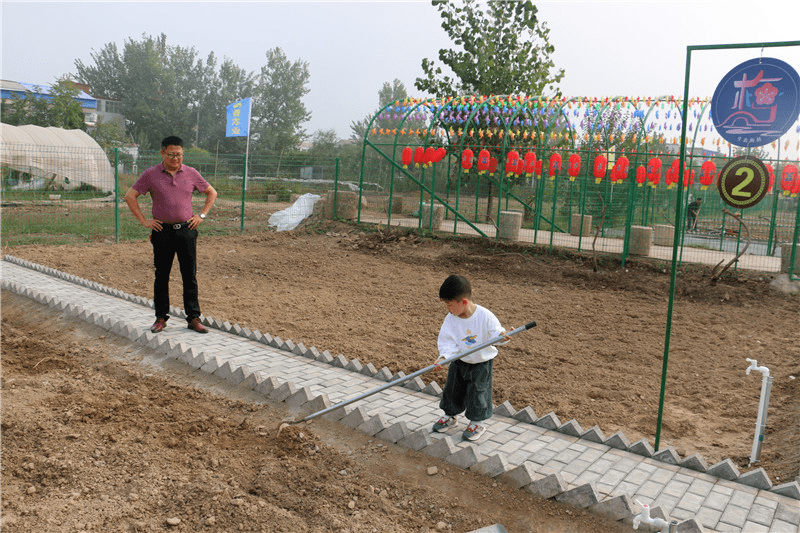 淮上区梅桥镇:打造自助式"小菜园"农旅融合引客来_蚌埠_种植_乡村