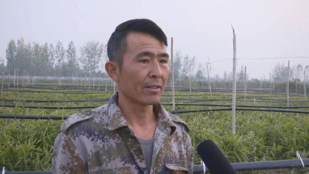 杜崴武种植农民专业合作社负责人 杜金业在该镇洪光村,杜崴武种植农民