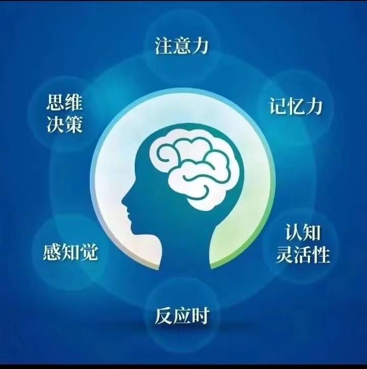 成功法则|智能培优指向训练，促进语文教与学高质量速成捷径和跃迁！  初中作文 第8张