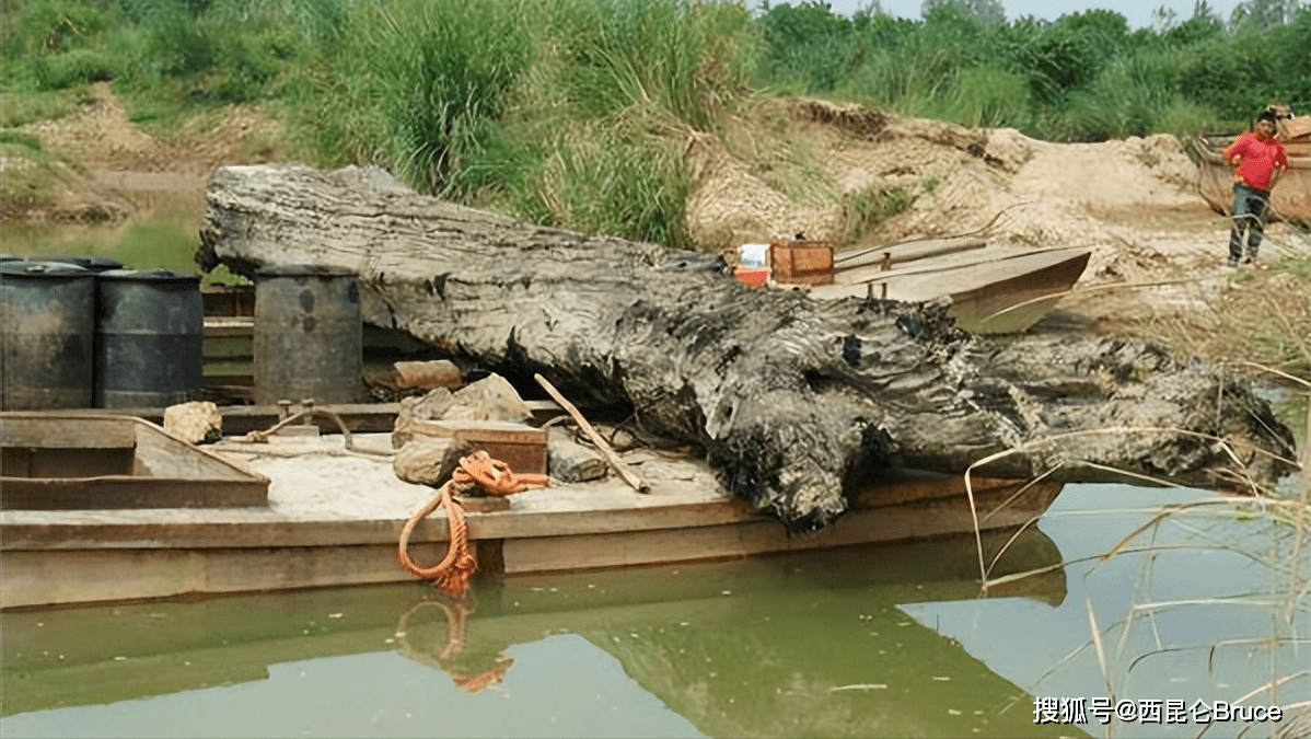 2万/斤！重庆嘉陵江出现巨大阴沉木，有盗割痕迹，最新：无法管理