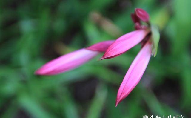 全国十大试管医院排名（不看后悔）