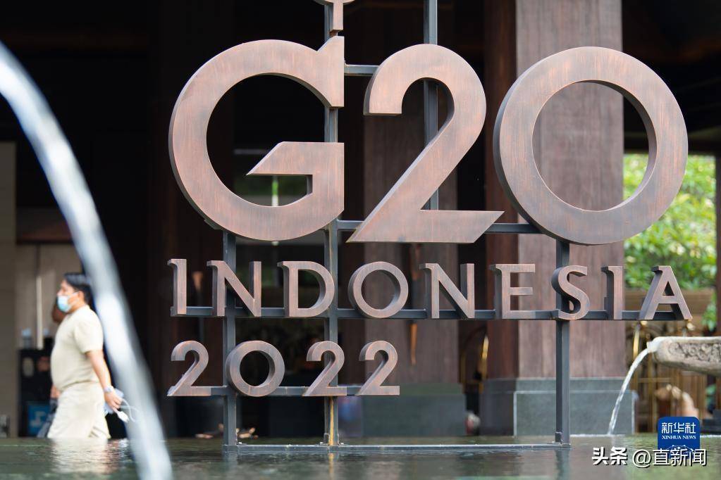 G20合力推动经济复苏，能办到吗?？