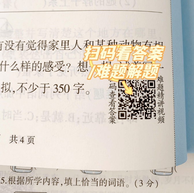 2023新版海淀尝试班活页卷，语文数学英语（人教版/苏教版/北师版/外研版），1-6年级上册可选！