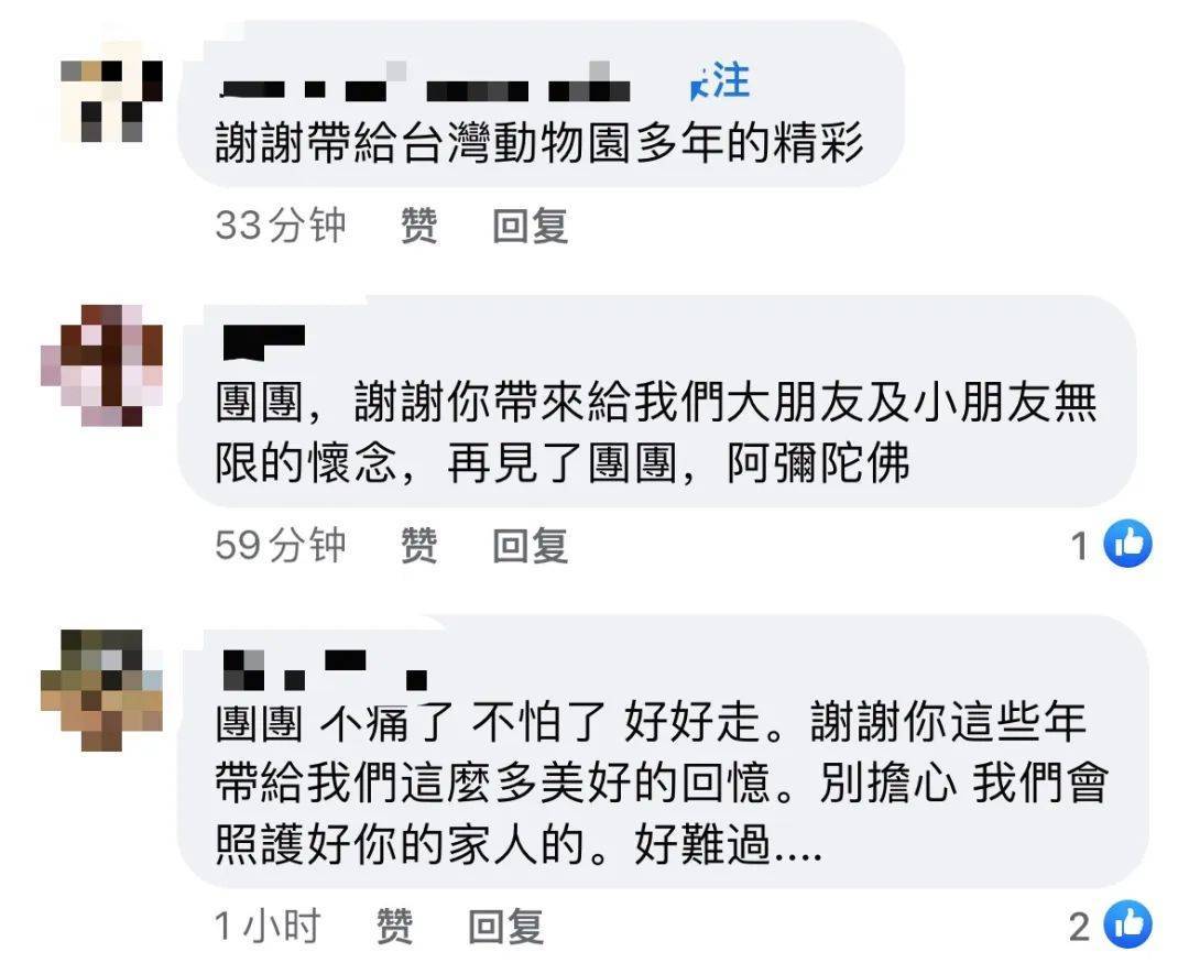 1亿多人次投票给它取名的阿谁仔，走了......