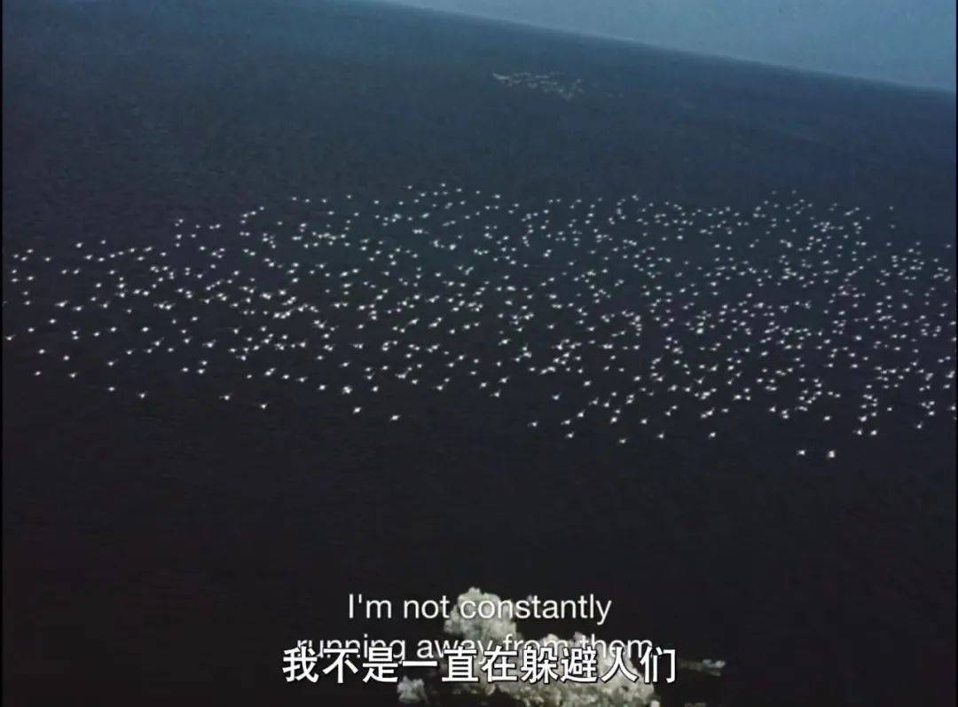 ���Ʊ����ߵļ�¼Ƭ����������CP�컨��