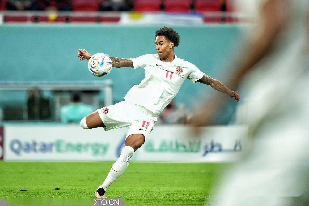 「图集」卡塔尔世界杯足E组首轮 比利时1比0战胜加拿大