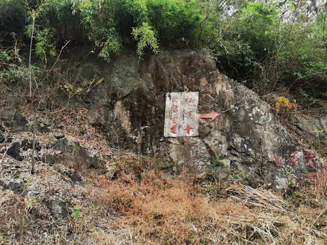 来相逢一场古银杏雨！仙顶寺打卡攻略来咯~