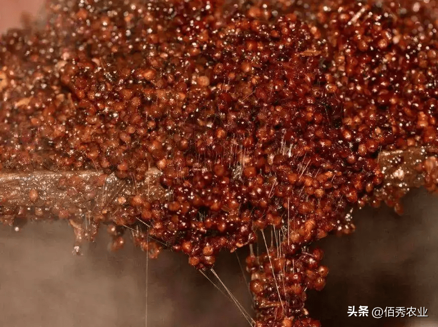 �й�3�󡰿����ơ����Ի�ʱ������������ȴ�ڳ��л��ң���ȹ� ...