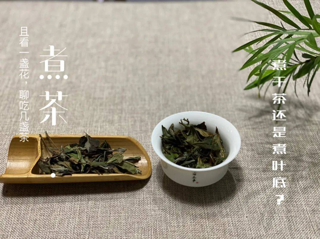 保温杯焖茶是凶猛的，而煮茶，是暖和的，是谁在茶圈颠倒是非呢？