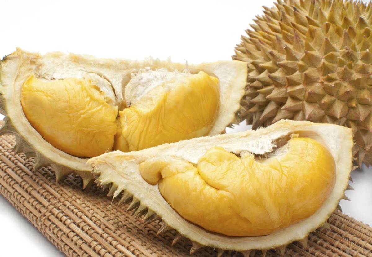 越南榴蓮排糖（越南榴蓮怎樣合法進入到中國）原創
      