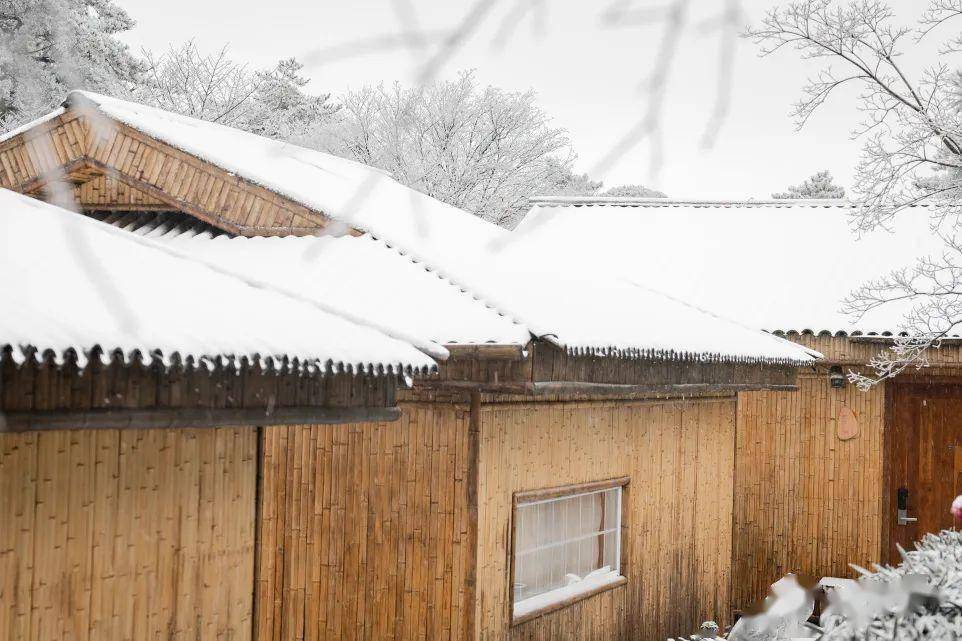 提上一盏马灯天微微亮时叫人格外动心因为有了漫然的雪白清甜的空气中