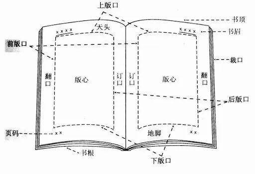 文章配图-13