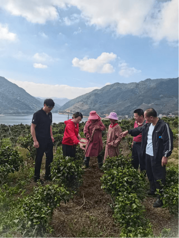 乡村新画卷 优秀科技特派员张恋芳:勇担使命,争做乡村振兴弄潮儿