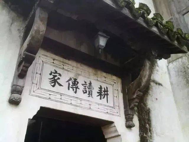 会员风采 蓝色梦想:每个人心中都有一亩田园_生活_龙湖_土地