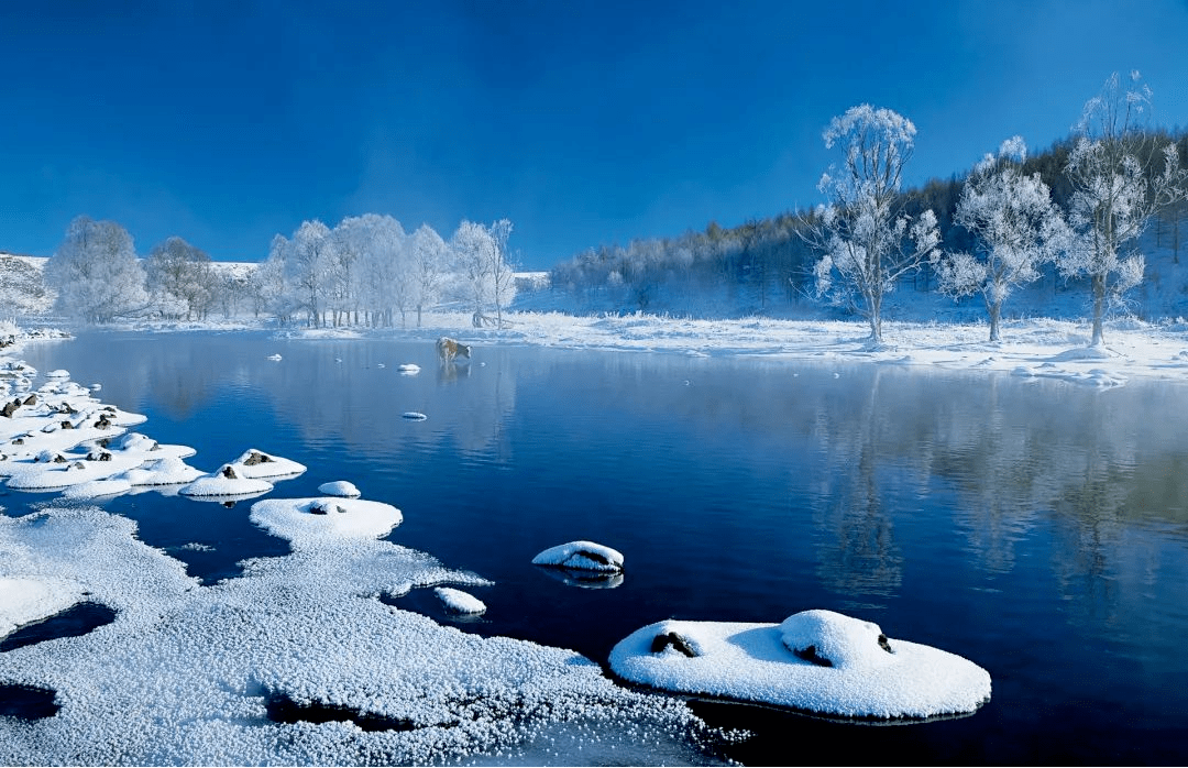 阿·柴国家5a级旅游景区—不冻河北国风光,千里冰封,万里雪飘;玉树琼