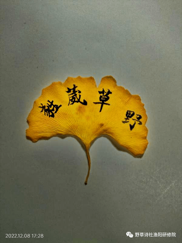 热烈庆祝野草诗社渔阳研修院成立两周年(兄弟社团,友好