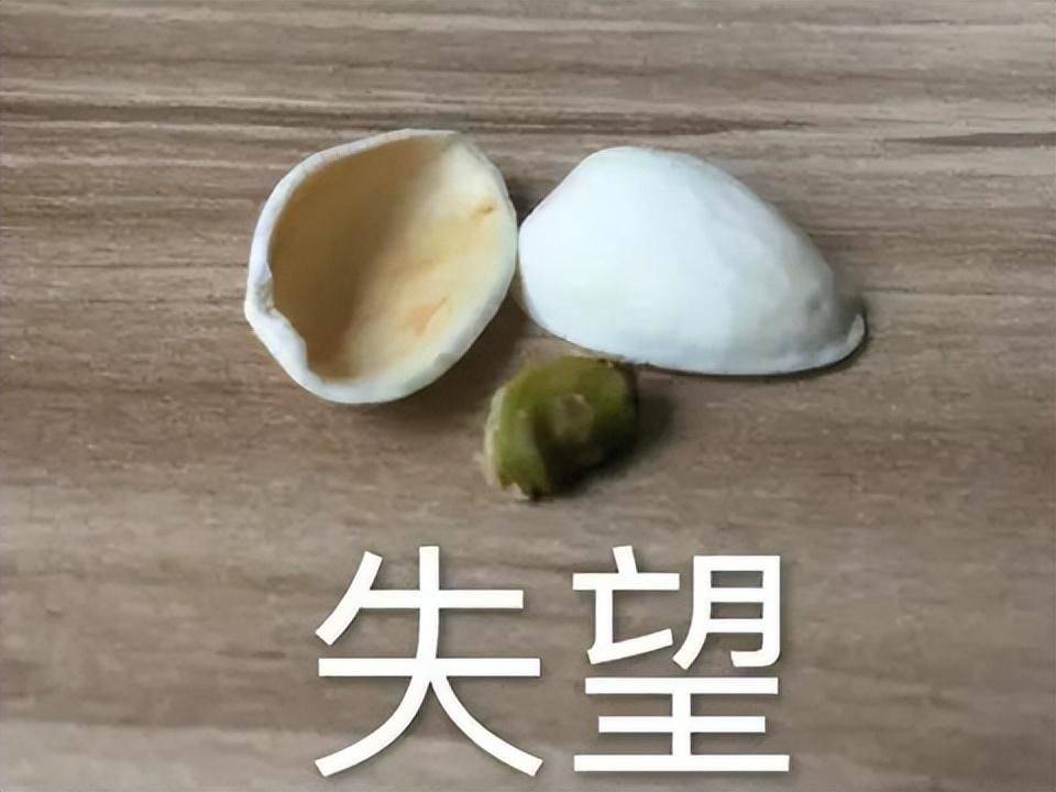 国产之光也来割韭菜？《天命奇御》新做翻车，打着新做灯号卖BUG