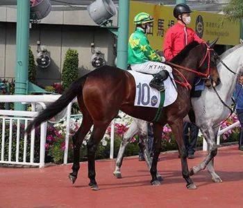 ���̨�����������к�