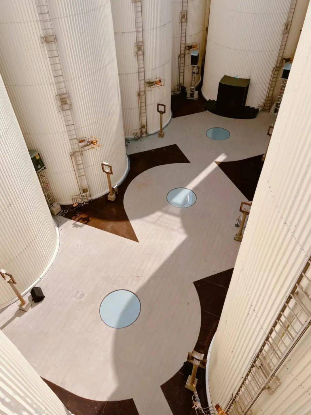 �����и���+����ҵ��Ŀ��Ҫ���Ȧ����8���¿�ҵ�̳�ֵ��ϸϸ ...