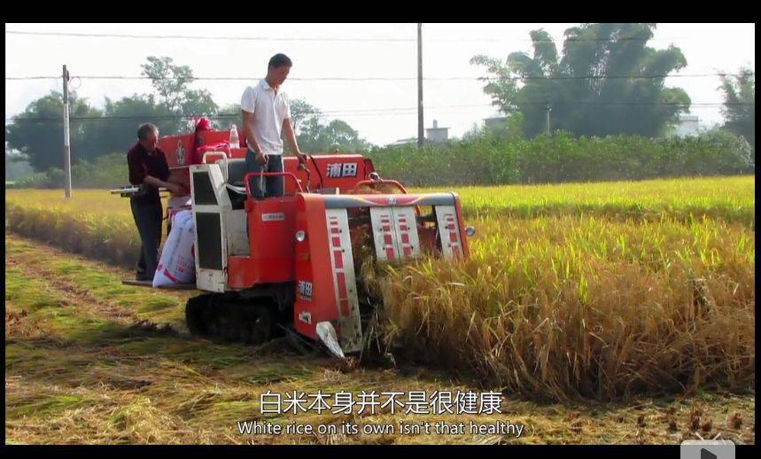 BBC纪录片清点全球最不安康的饮食体例，中国人中了好多箭……那说的是你吗？