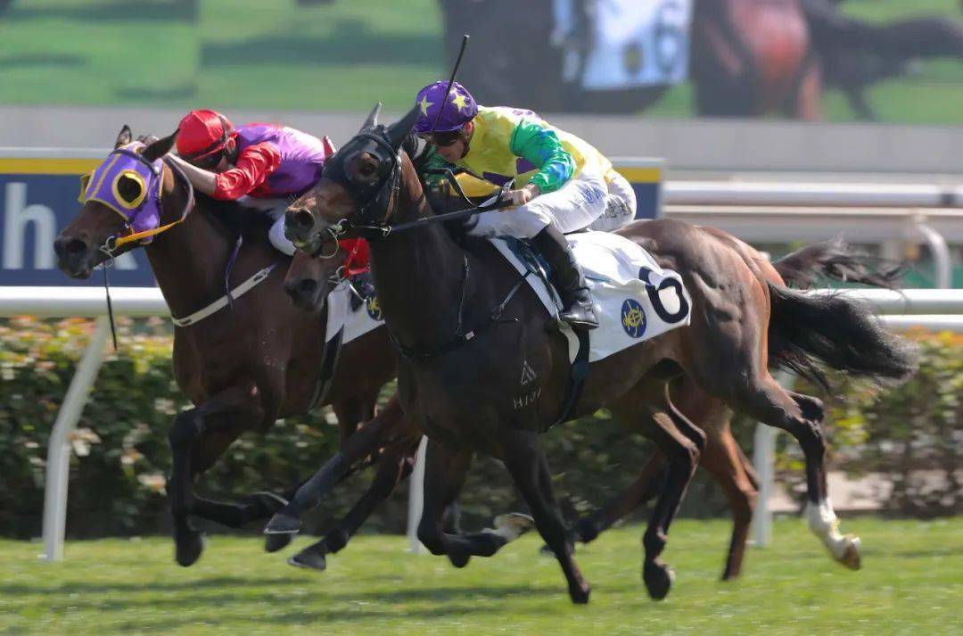 ������֮ս������ǹ��ʮ�����ۡ����±��� ���������ݡ�һ�� ...