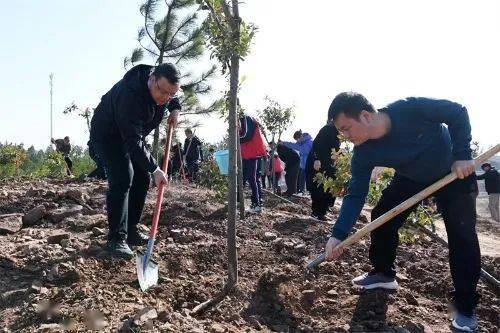 新春添新绿 | 江西各地开展新春义务植树活动